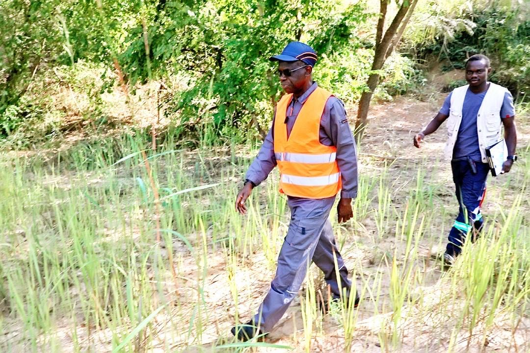 1d593dae-7105-42ea-bbf9-372810bbc9b1