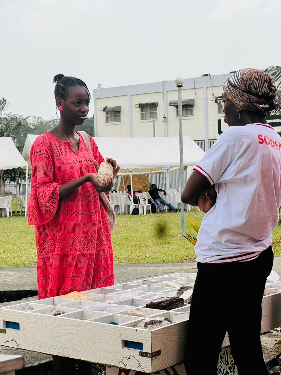 5339faf8-75fc-4be3-8c4e-b511e2ce9f4b